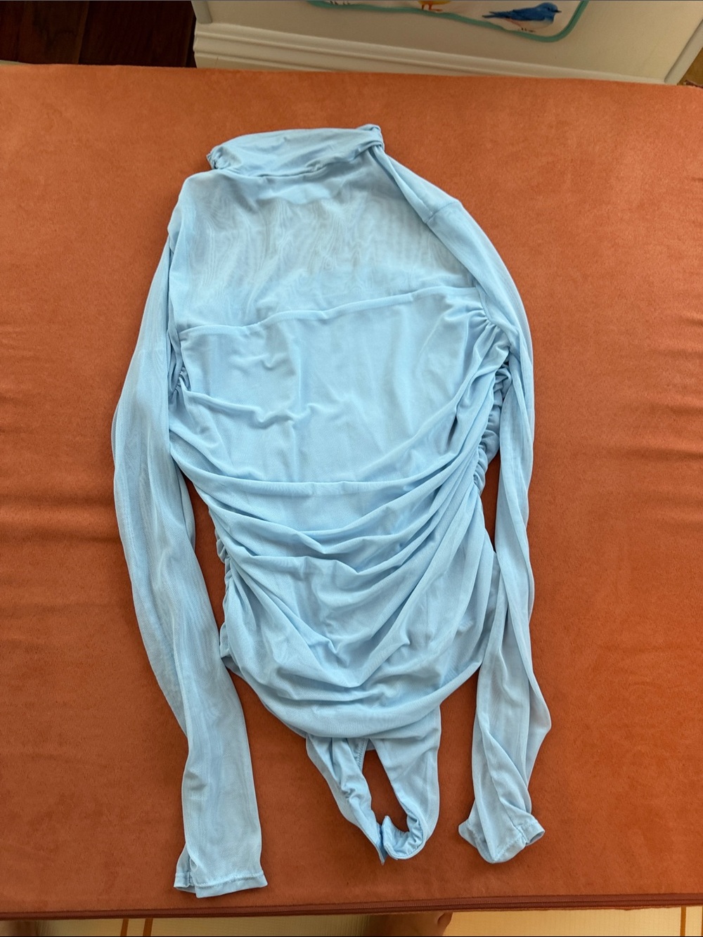 Light Blue Ruched Long-Sleeve Bodysuit, mesh top and sleeves